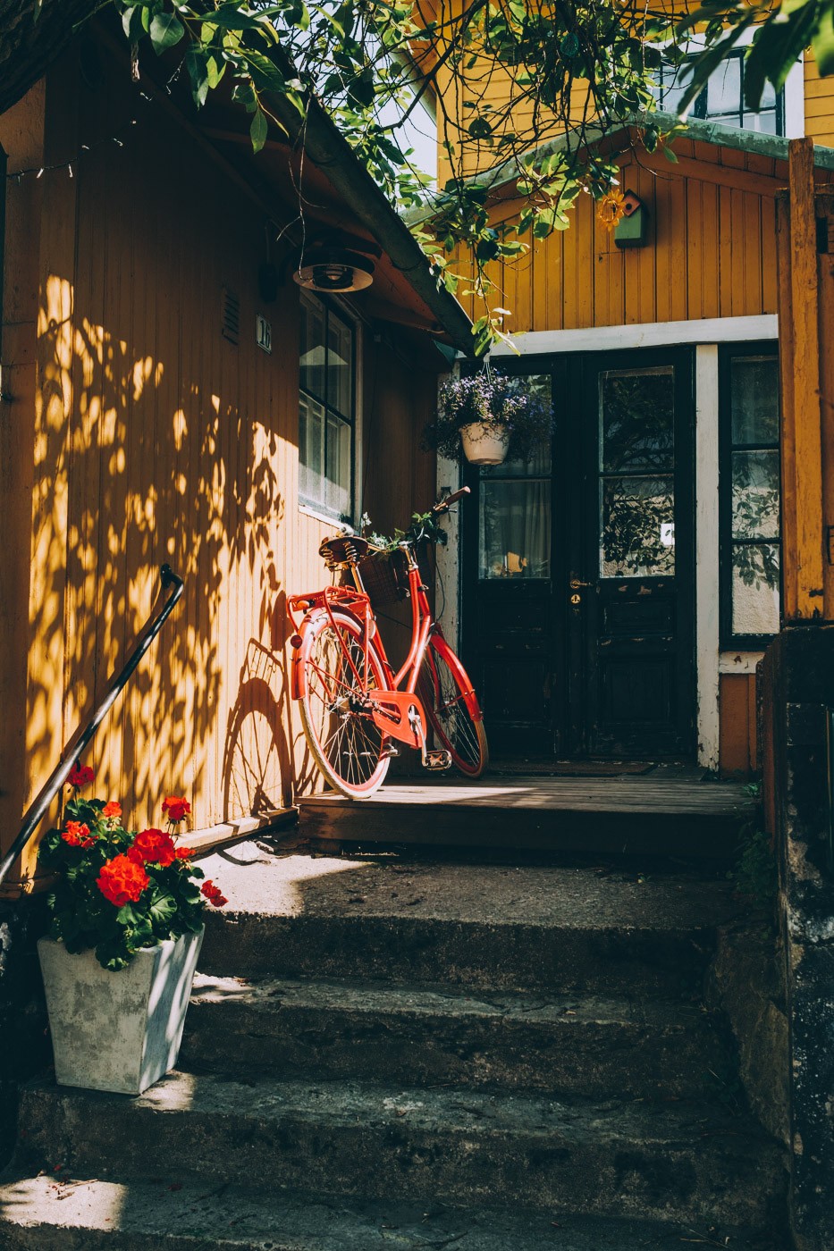 0719_dsf6010.jpg